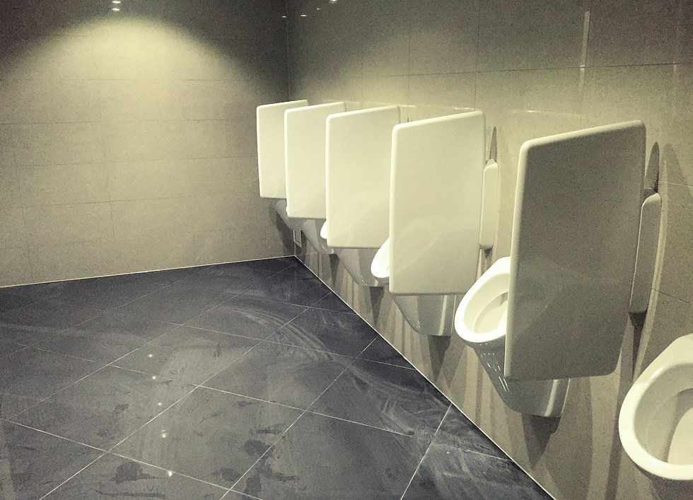 Sanitary